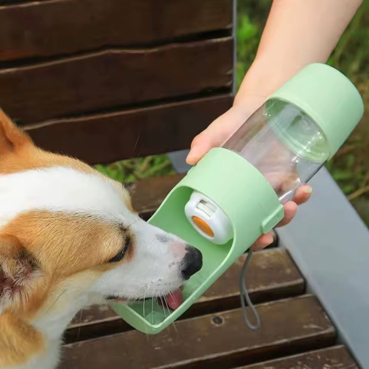 Gourde 2 en 1 Eau & Croquettes pour animaux de compagnie - Idéale Balade et Voyage
